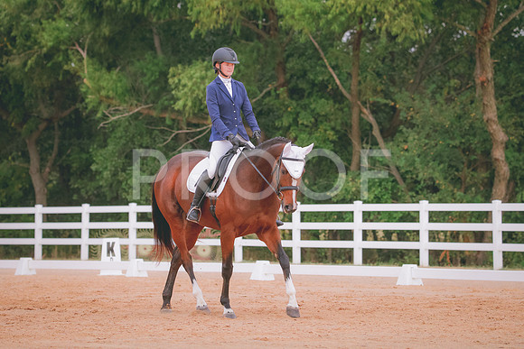 RWP_2699