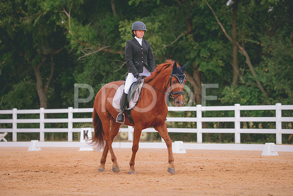 RWP_2713