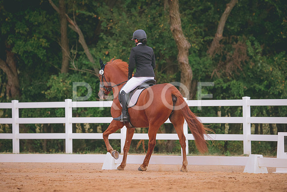 RWP_2728