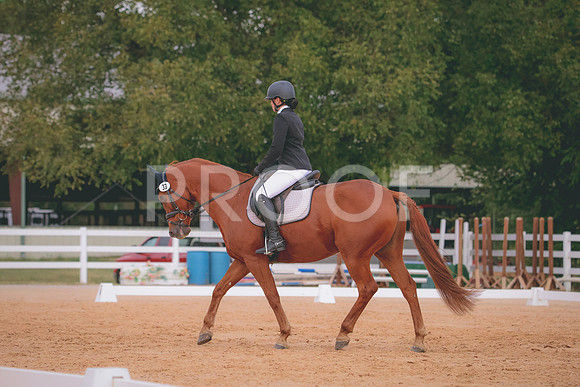 RWP_2735