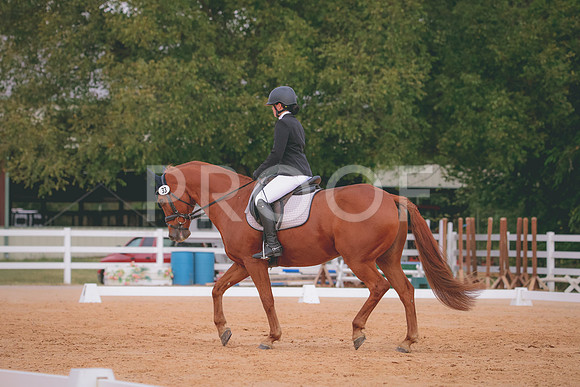 RWP_2734
