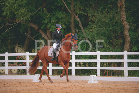 RWP_2739