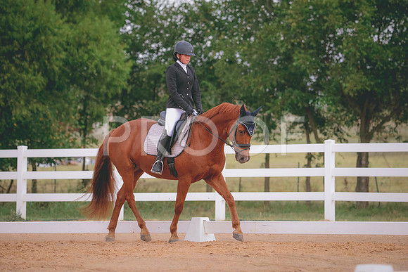 RWP_2742