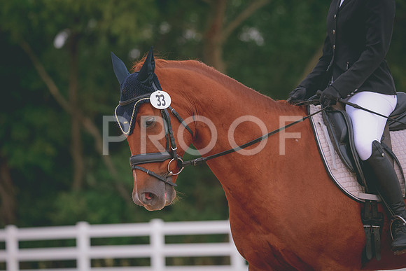 RWP_2745