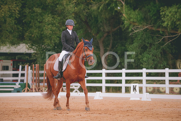 RWP_2749