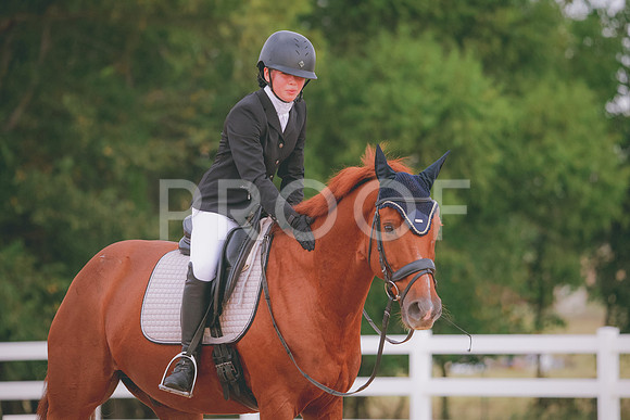 RWP_2754