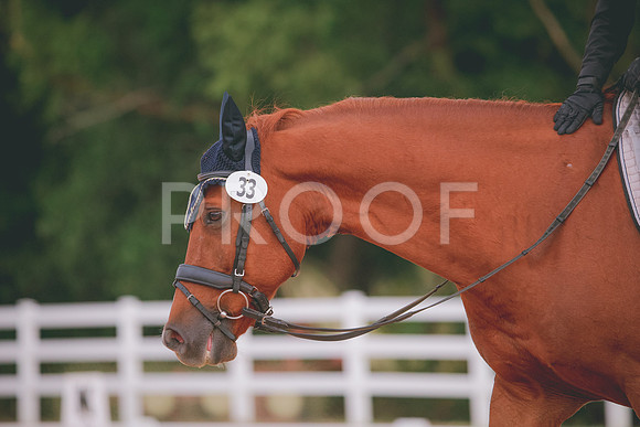 RWP_2759