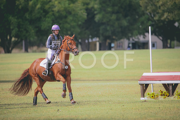 RWP_4819