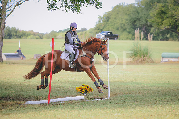 RWP_4829