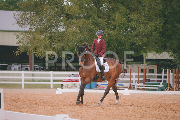 RWP_2778