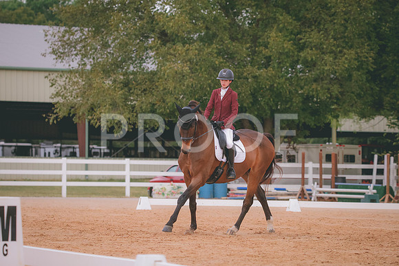 RWP_2779