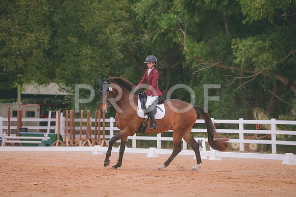 RWP_2775