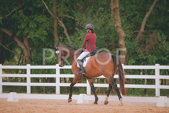 RWP_2781