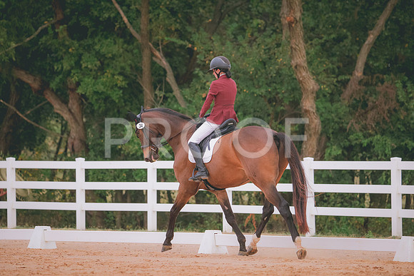 RWP_2782