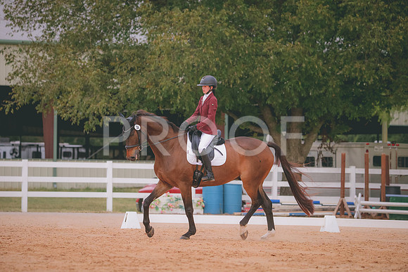 RWP_2784
