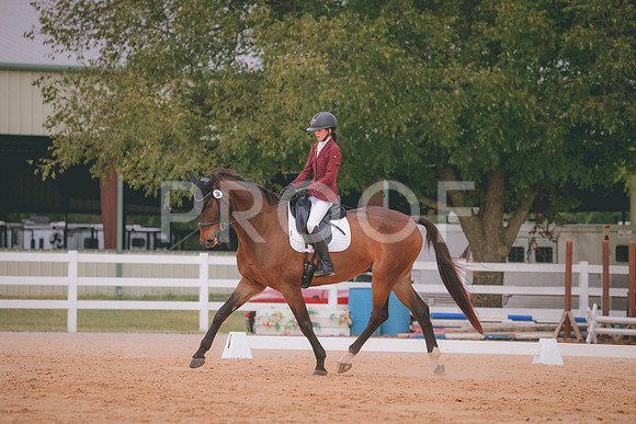 RWP_2786