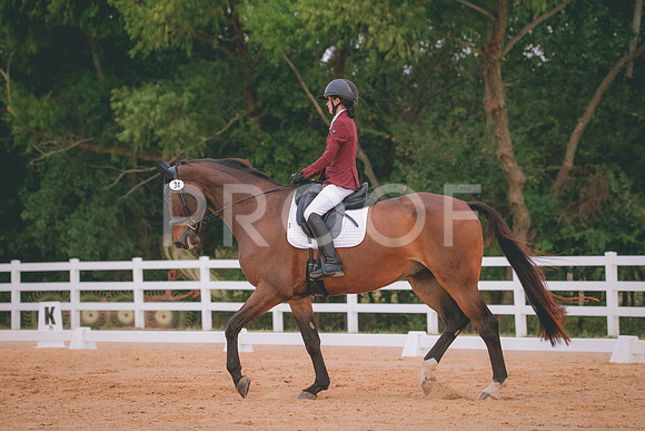 RWP_2788