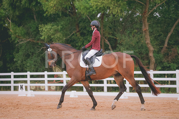 RWP_2789