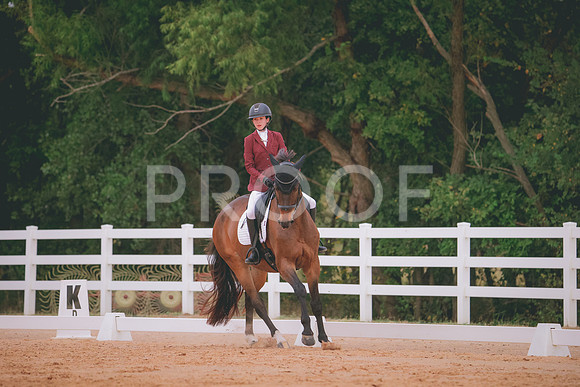 RWP_2797