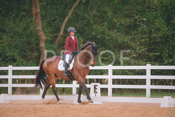 RWP_2799