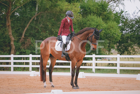 RWP_2813