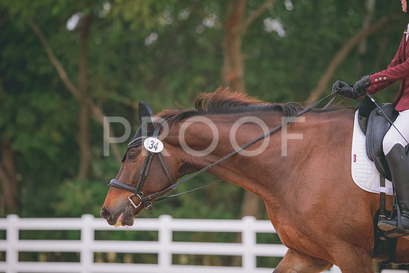 RWP_2817