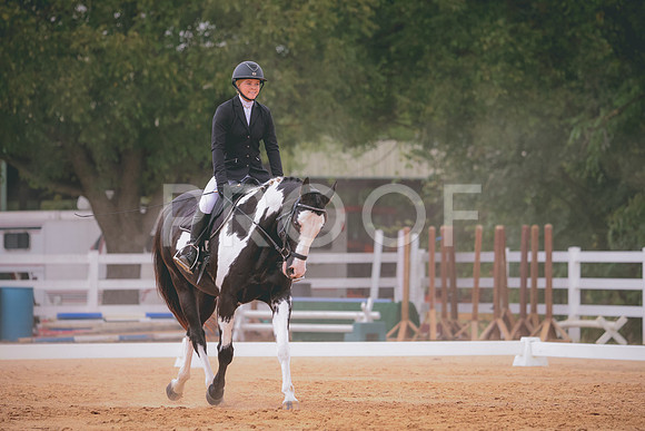 RWP_2832