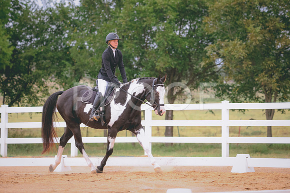 RWP_2880