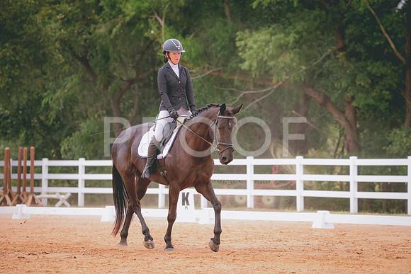 RWP_2919