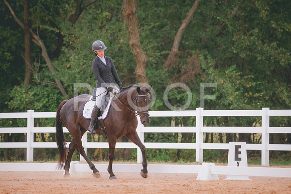 RWP_2931