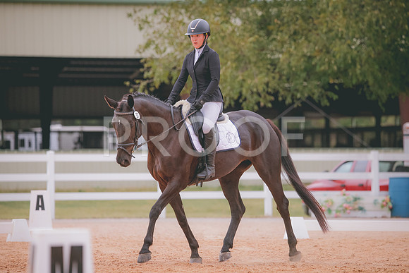 RWP_2934