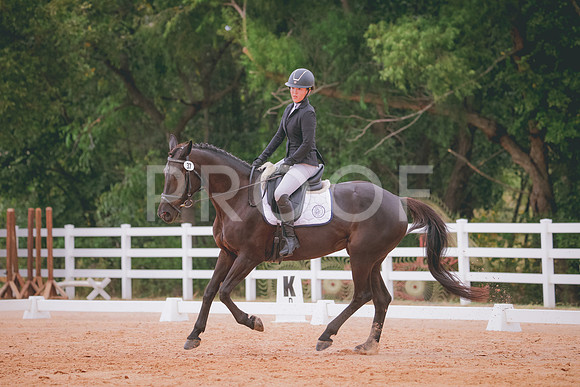 RWP_2941
