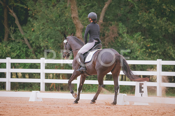 RWP_2944