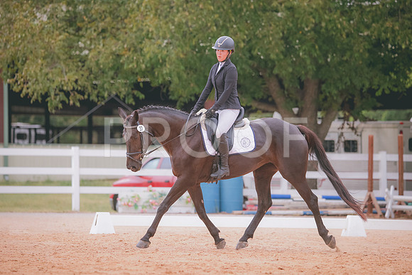 RWP_2947