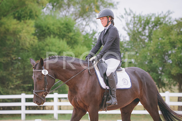 RWP_2978