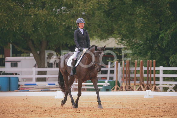 RWP_2980