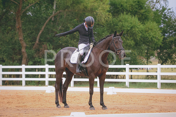 RWP_2990