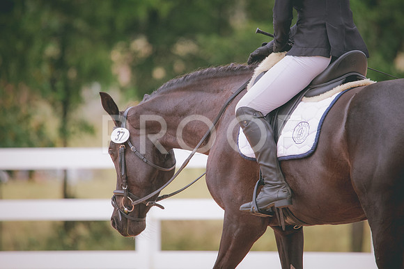 RWP_2993