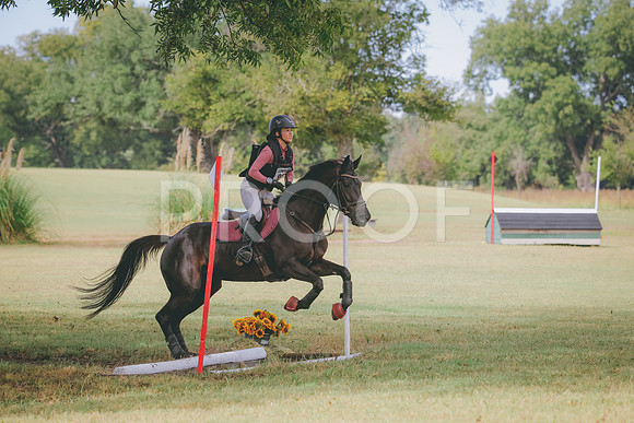 RWP_4908