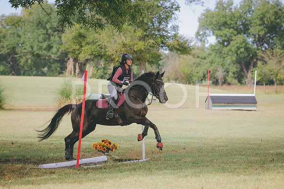 RWP_4909