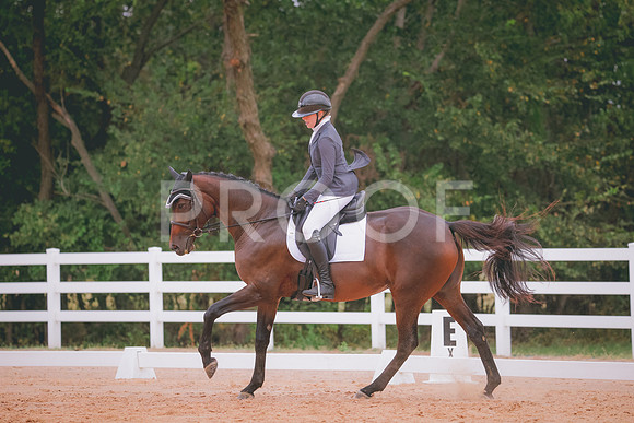 RWP_3058