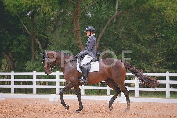 RWP_3090