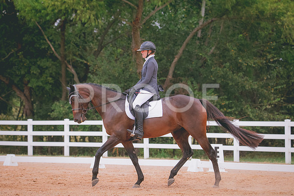 RWP_3091