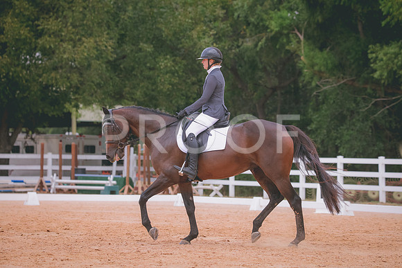 RWP_3095