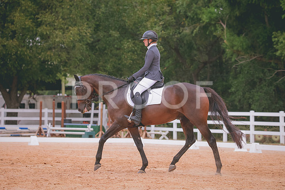 RWP_3096