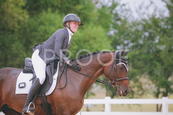 RWP_3119
