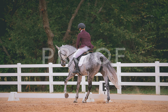 RWP_3194