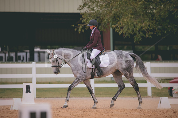 RWP_3197