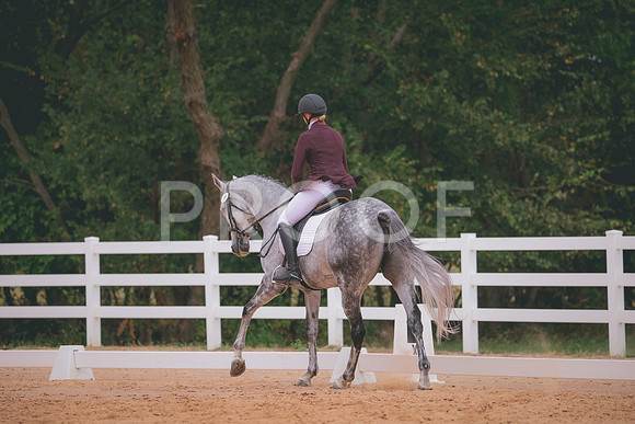 RWP_3195