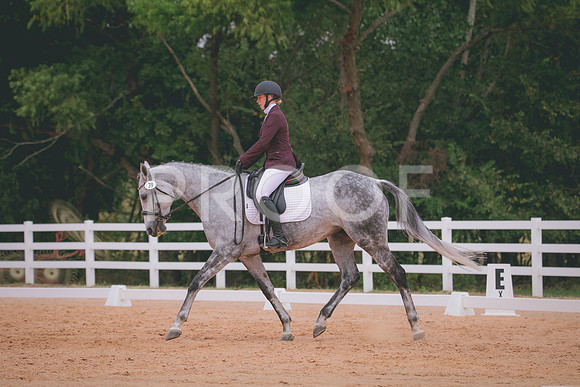RWP_3217
